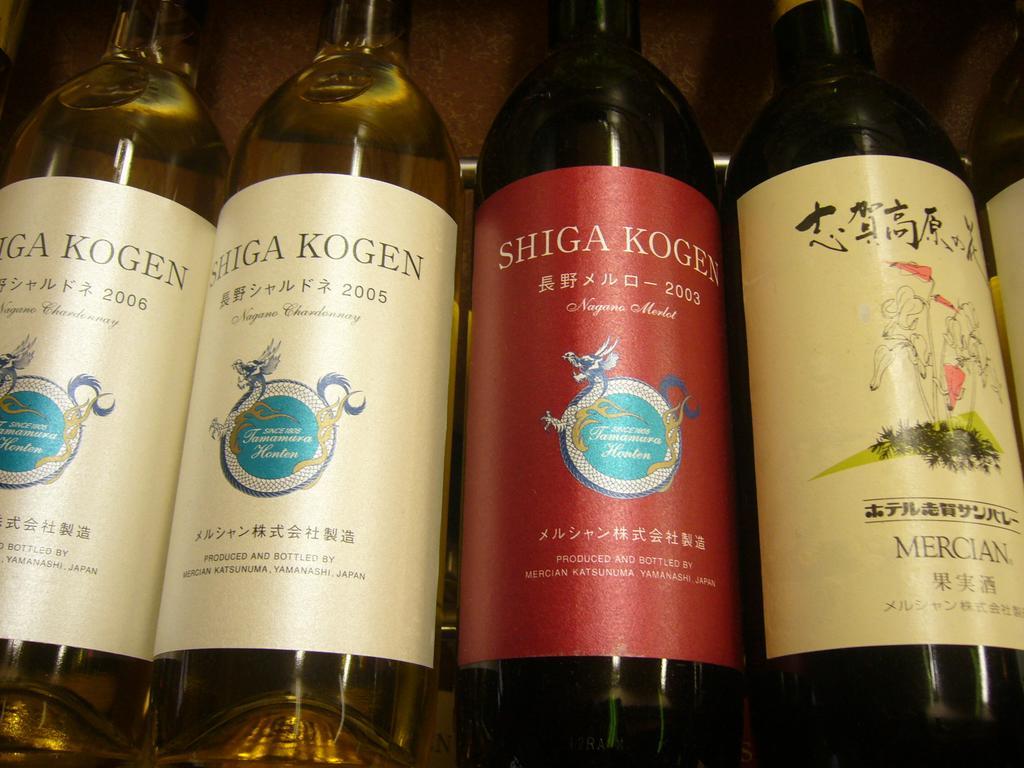 Shiga Kogen Hotel Shiga Sunvalley Yamanouchi  Eksteriør billede